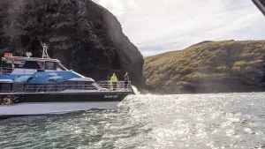 Akaroa Tour with Harbour Cruise